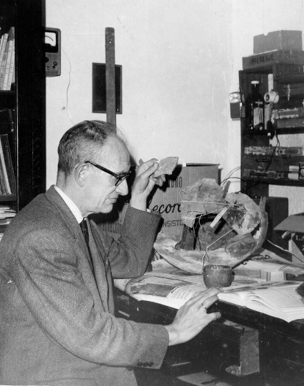 D. Carlos Callejo Serrano